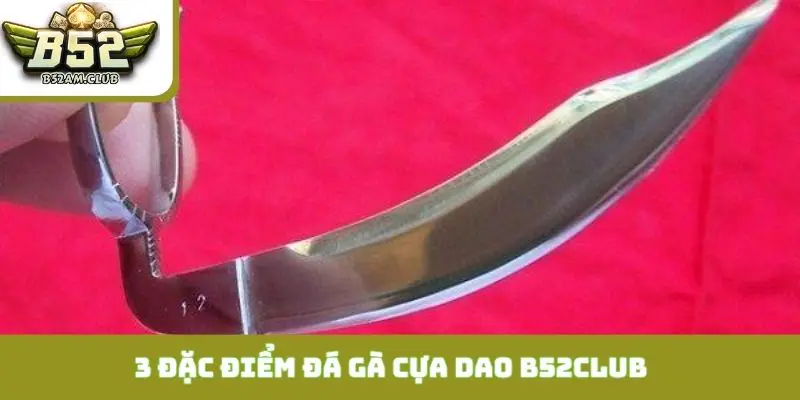 3 đặc điểm nổi bật của thể thức đá gà cựa dao B52CLUB