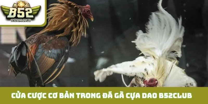 Các cửa cược cơ bản trong đá gà cựa dao B52CLUB cần nắm rõ