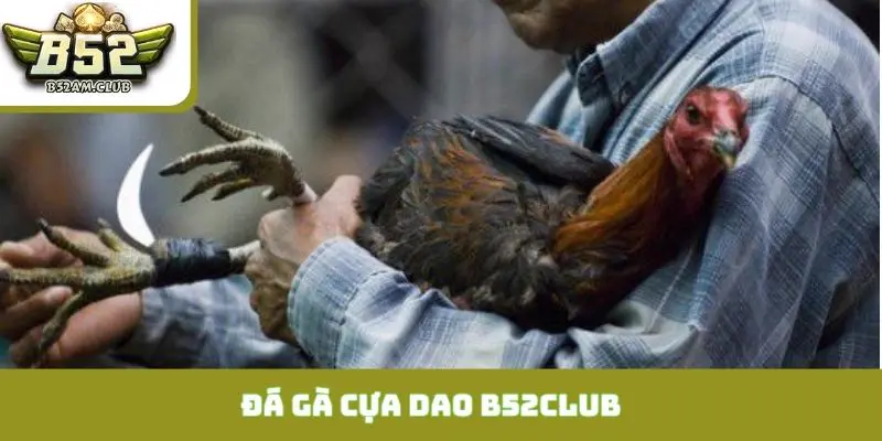 đá gà cựa dao B52CLUB